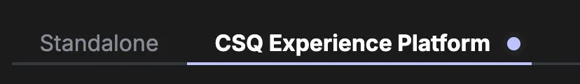 CSQ Experience Platform docs support hint